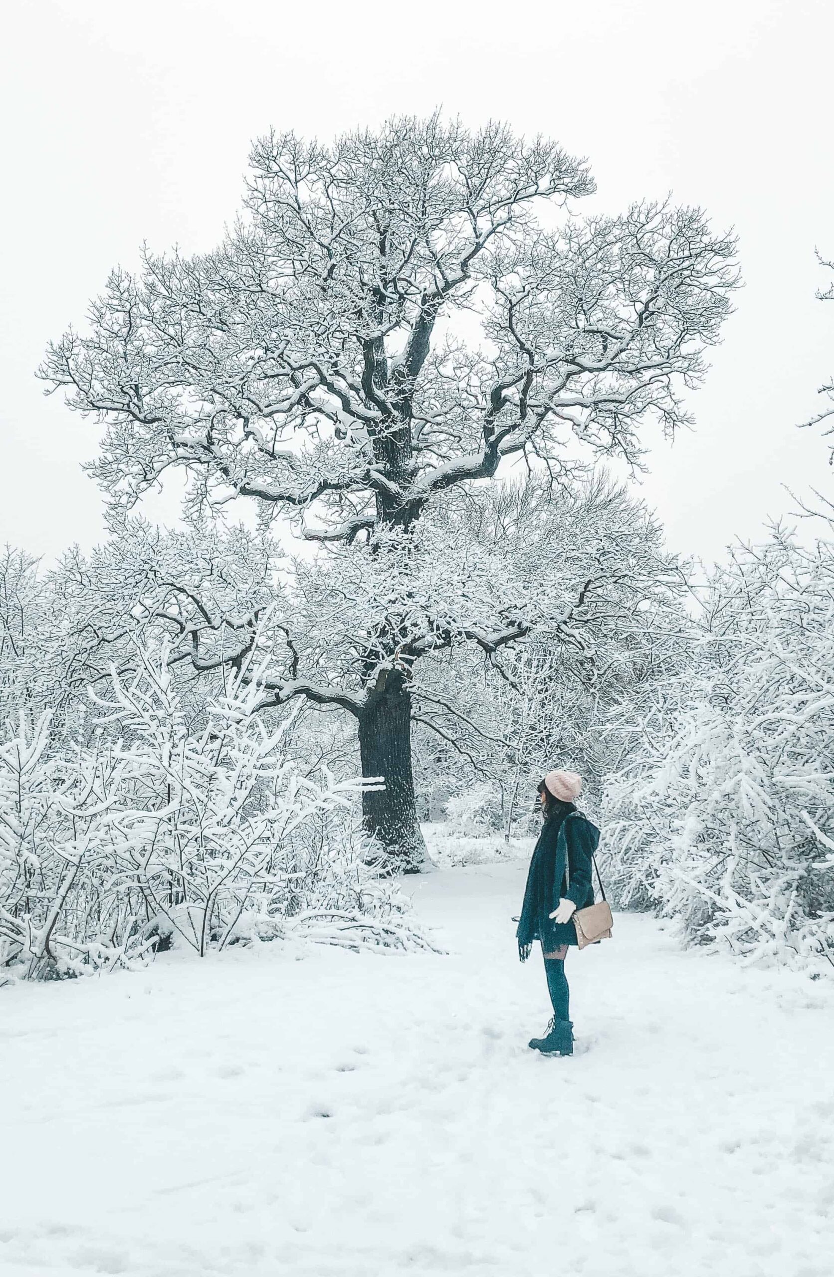 Karen Roldan - Winter in Sweden