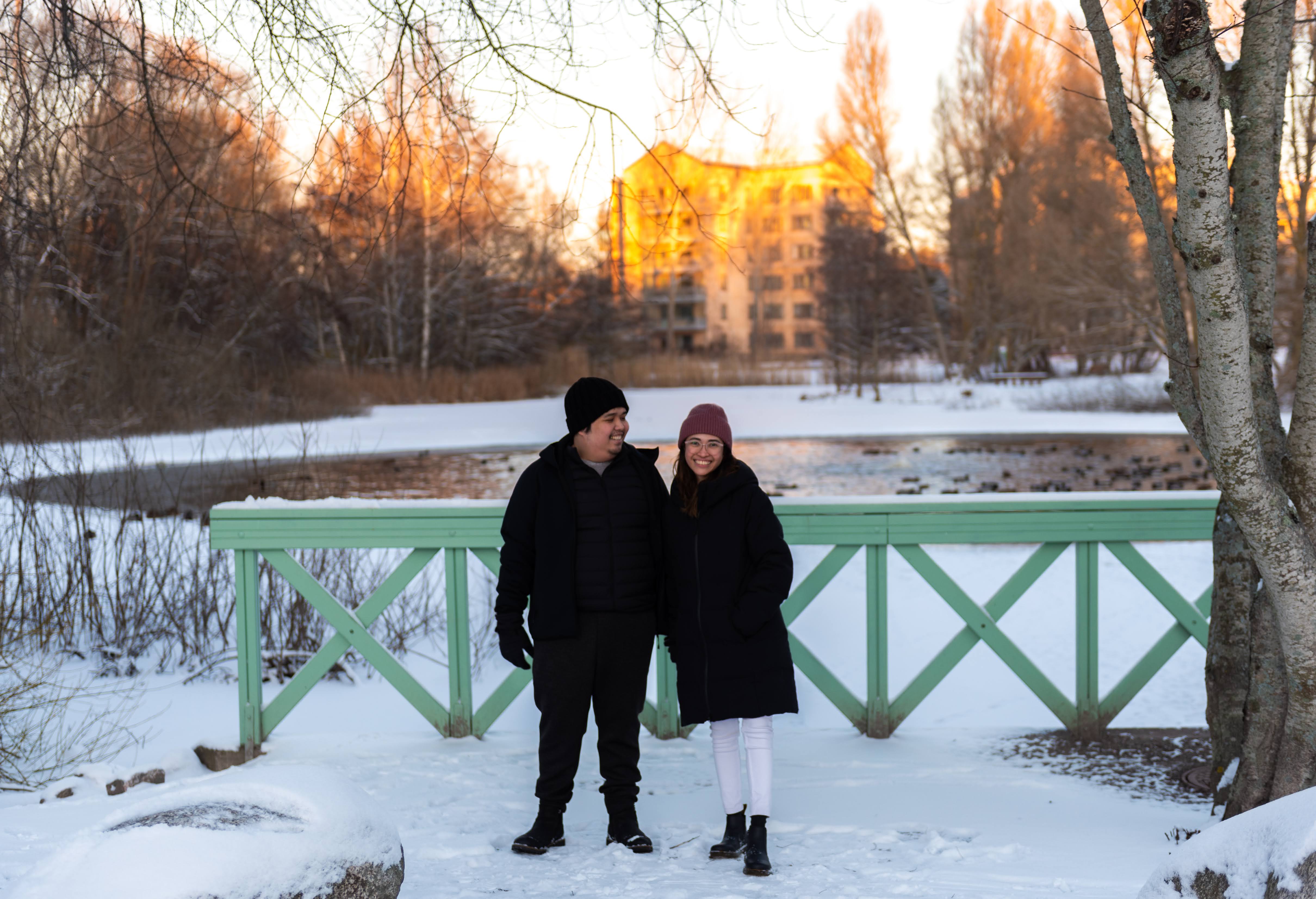 reasons not to move to sweden