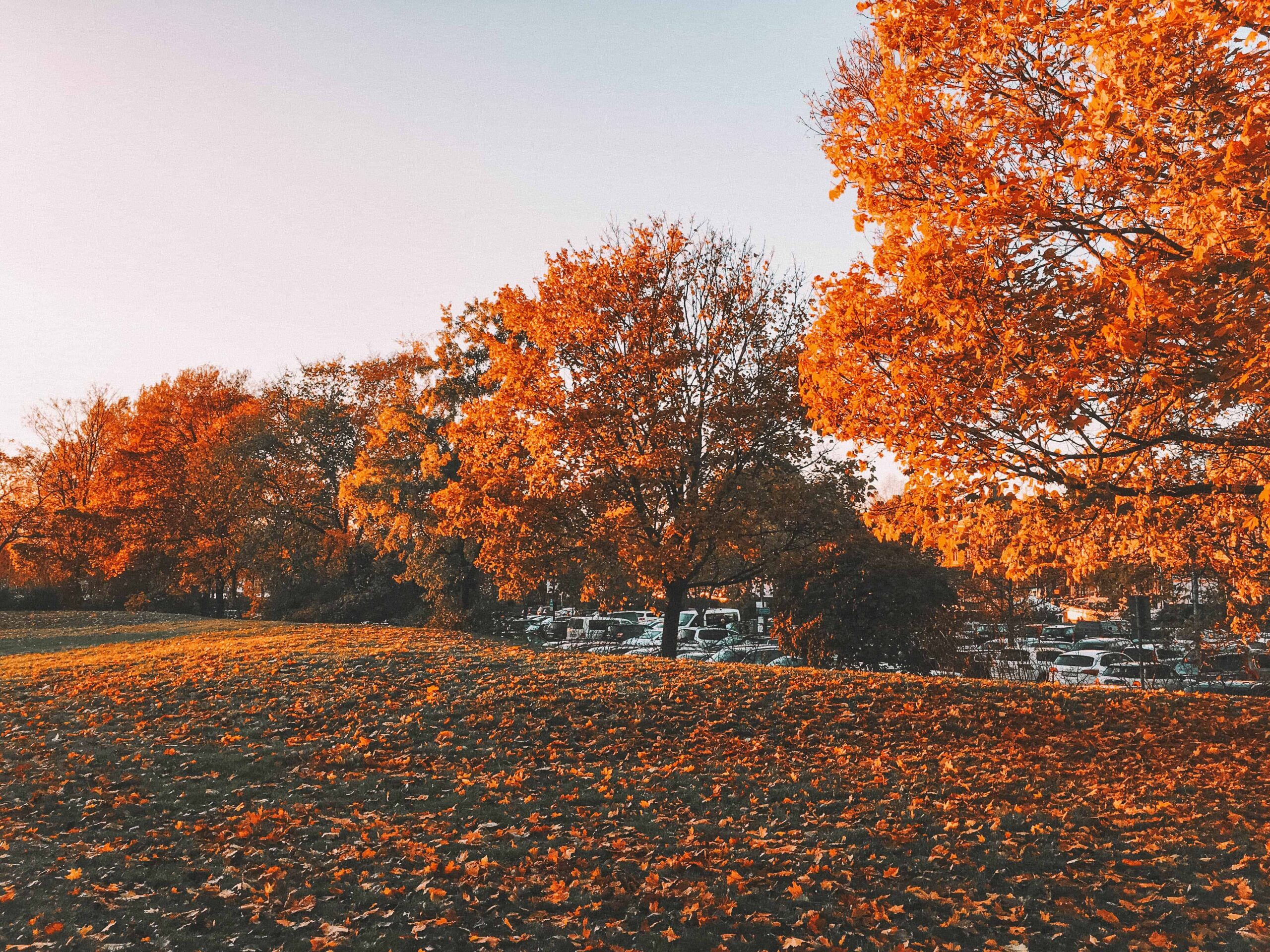 Photo Diary: Autumn in Stockholm