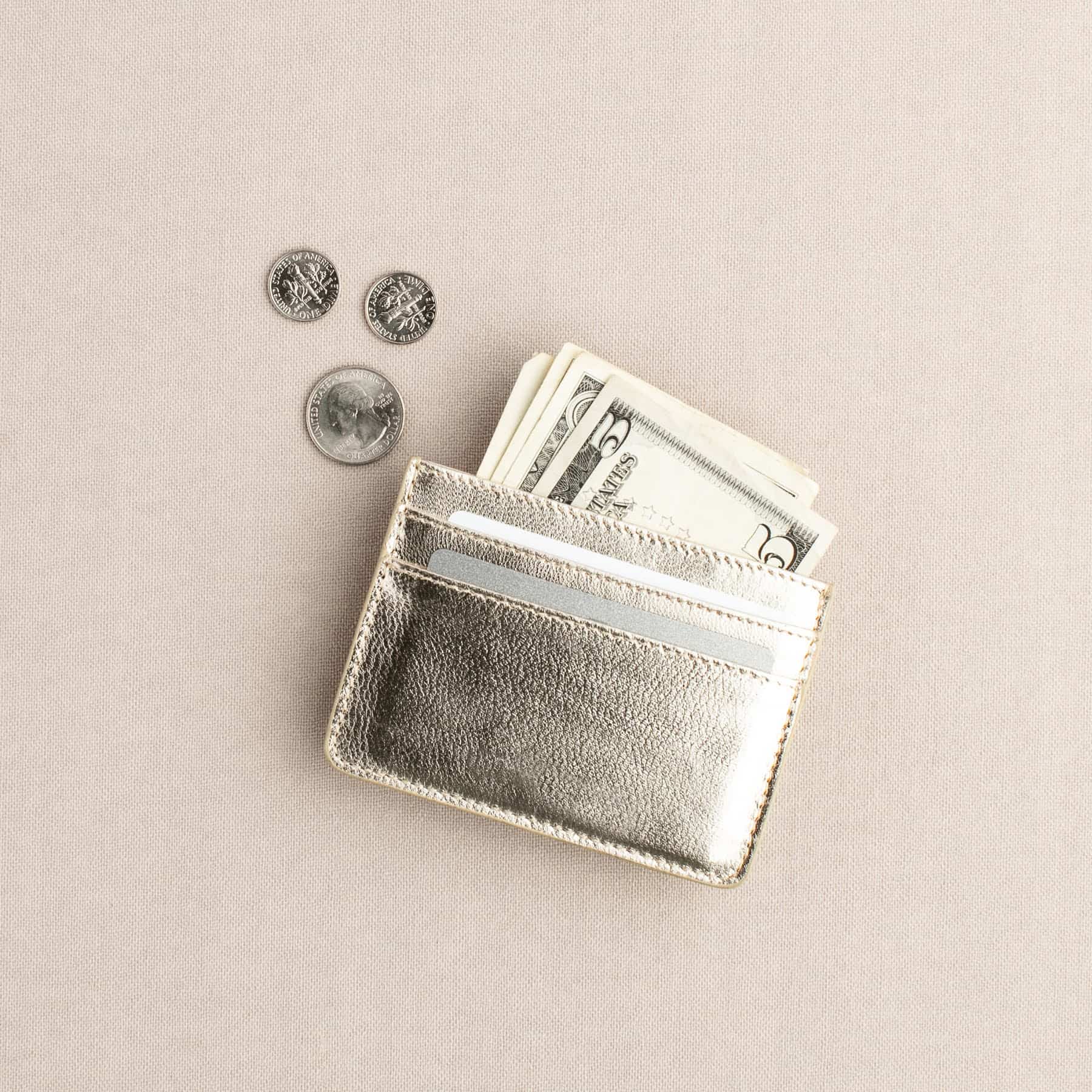 "Starting a new life abroad" concept represented by a photo of a card wallet with dollar bills and coins.